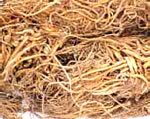 valerian dry roots