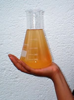 BioFuel